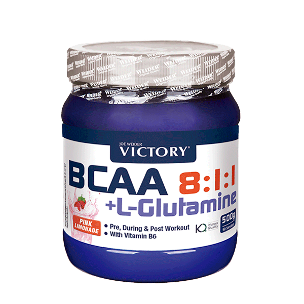 BCAA+GLUTAMINE  8:1:1 (500 GRS)